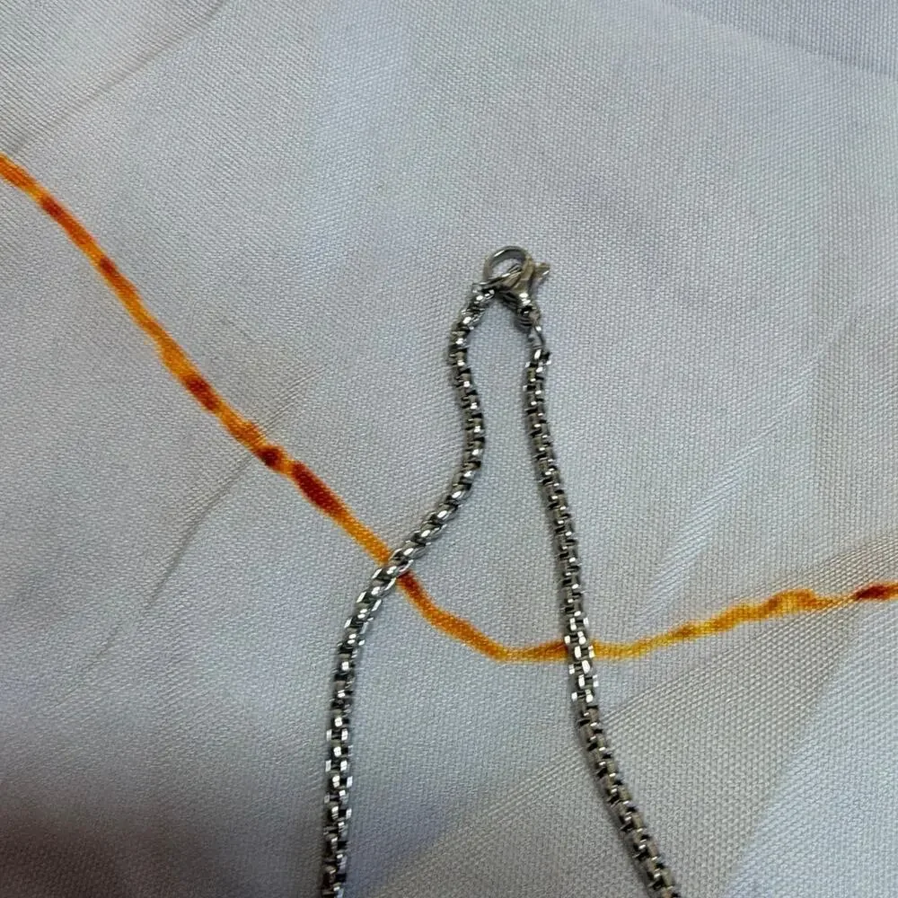 Skull Pendant Necklace for Men NWOT!